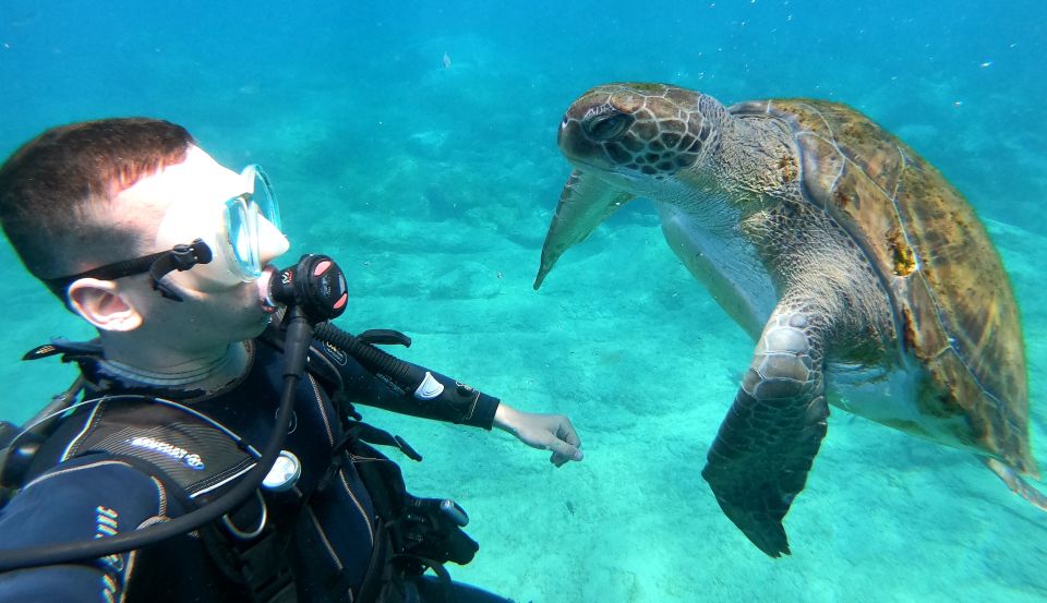 Tenerife: Puerto Colon Discover Scuba Diving Trip - Key Takeaways