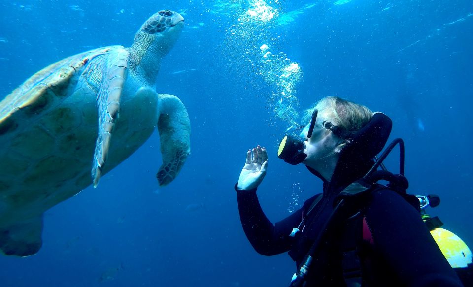 Tenerife: Puerto Colon Discover Scuba Diving Trip - The Gear Setup: Everything Included, One Key Limitation