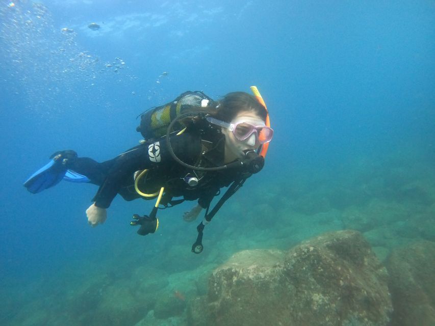 Tenerife: Puerto Colon Discover Scuba Diving Trip - The Underwater Session: Skills First, Then Wildlife