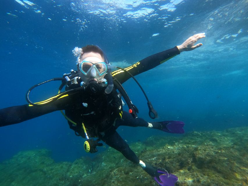 Tenerife: Puerto Colon Discover Scuba Diving Trip - Marine Life Encounters: Go With the Right Mindset