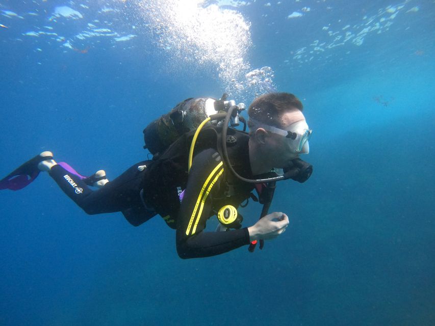 Tenerife: Puerto Colon Discover Scuba Diving Trip - PADI DSD Certificate: What It Really Gives You