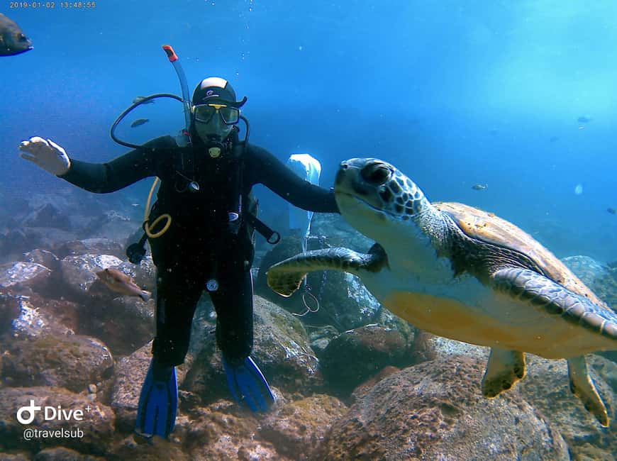 Tenerife: Puerto Colon Discover Scuba Diving Trip - Meeting at Travel Sub Dive Centre (and Finding It Fast)