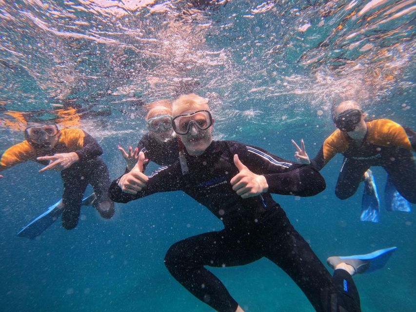 Tenerife: Puerto Colon Snorkel Safari by Speed Boat - Key details that matter before you go