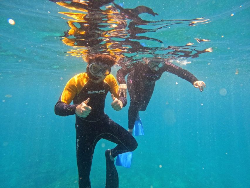 Tenerife: Puerto Colon Snorkel Safari by Speed Boat - The safety briefing: how you’ll actually snorkel for 50 minutes