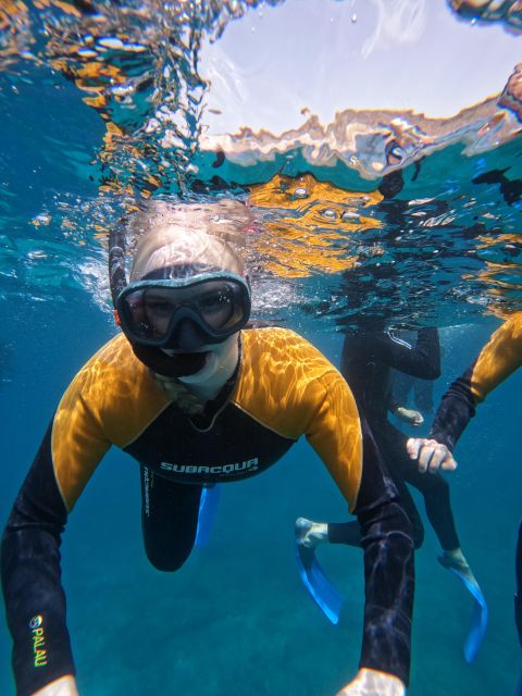 Tenerife: Puerto Colon Snorkel Safari by Speed Boat - Guide attention in a small group: why it feels safer