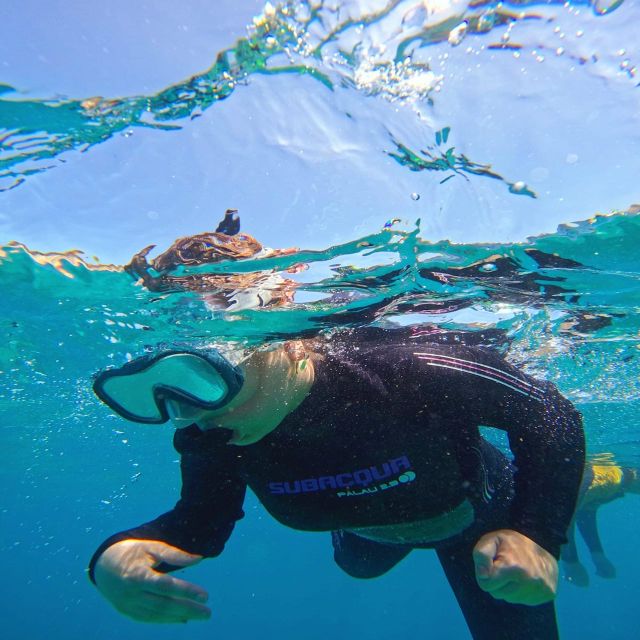 Tenerife: Puerto Colon Snorkel Safari by Speed Boat - Price and value: is $53 fair for a two-hour speedboat snorkel?