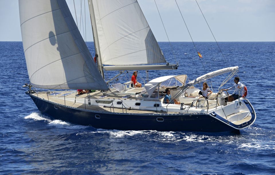 Tenerife: Sailing Excursion with Whale and Dolphin Watching - Why this Tenerife sailing trip is worth your 3 hours