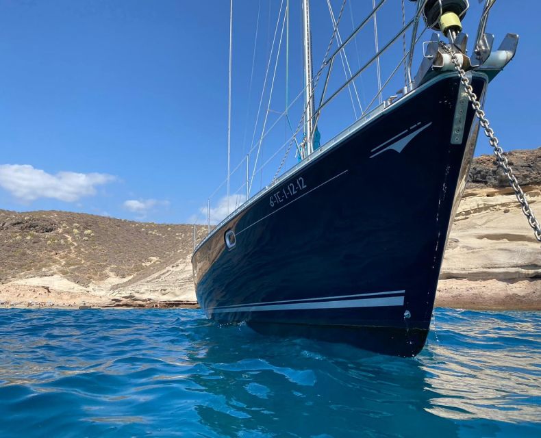 Tenerife: Sailing Excursion with Whale and Dolphin Watching - What to bring (and that barefoot-on-board rule)