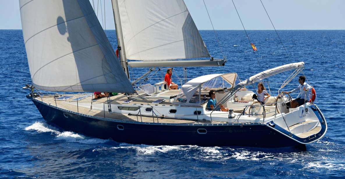 Tenerife: Sailing Excursion with Whale and Dolphin Watching - Getting to Puerto Colón: dock zero, no pickup, and parking reality