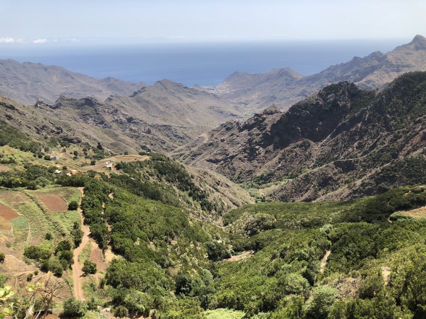 Tenerife: Santa Cruz, La Laguna and Anaga Tour - Value at About $61: What You’re Paying For
