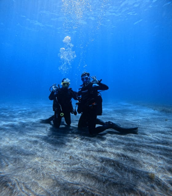 Tenerife: Scuba Diving Experience for Every Level - Practical Tips That Improve Your Day