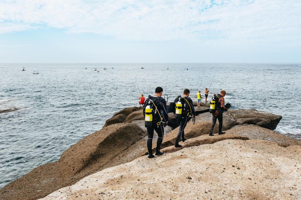 Tenerife: Scuba Diving Experience with Instructor and Gear - Key things to know before you go