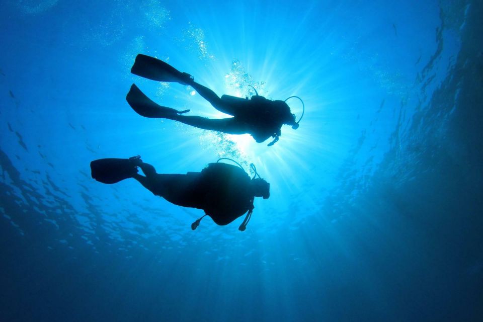 Tenerife: Scuba Diving Experience with Instructor and Gear - Meeting at La Caleta de Adeje: how the session starts (and why it matters)