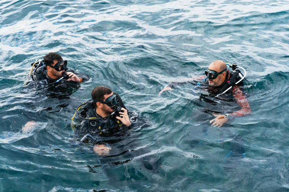 Tenerife: Scuba Diving Experience with Instructor and Gear - The best nearby protected bay: where you might go in Tenerife