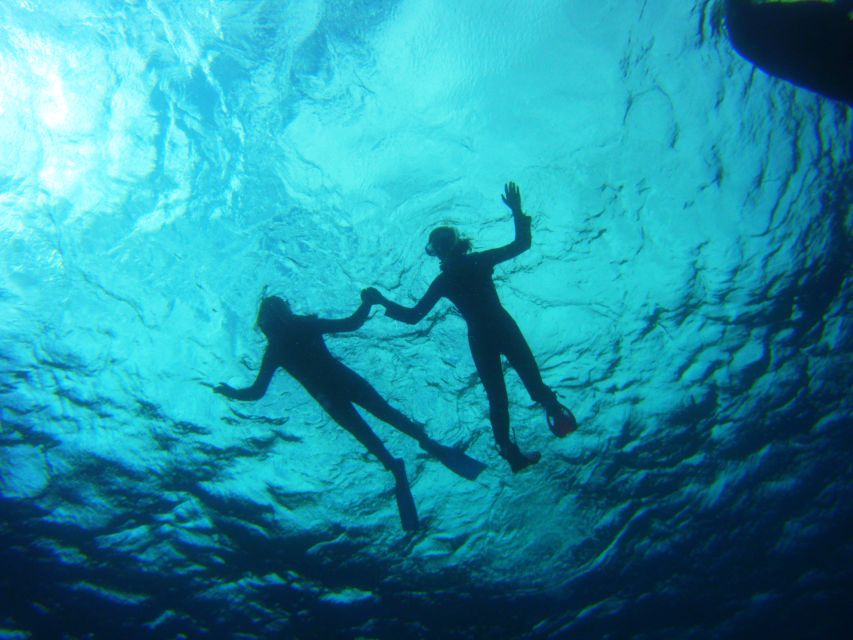 Tenerife: Snorkel with Turtles - Who Should Book This Snorkeling With Turtles Tour