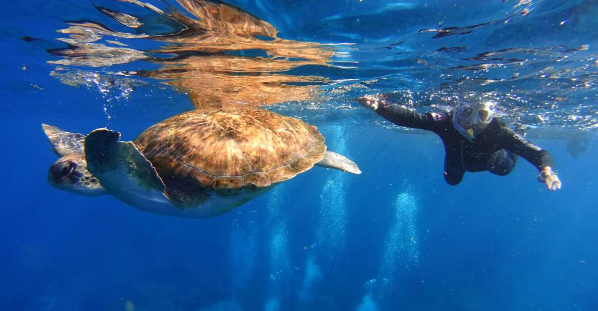 Tenerife: Snorkel with Turtles - The Speedboat Ride Through Malpais de Rasca: Views With a Purpose