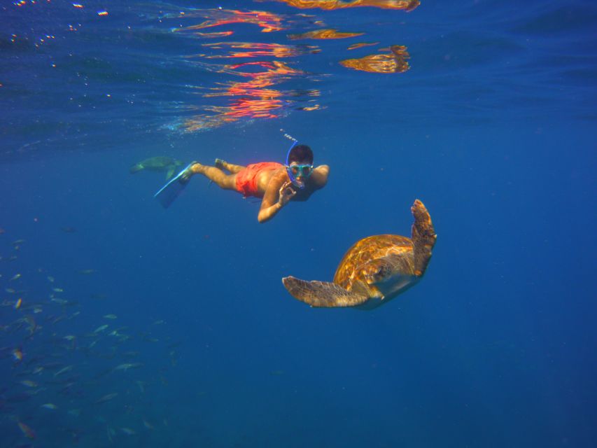 Tenerife: Snorkel with Turtles - Safety and Instruction: A Pro Free Diver, Not Just a Guide