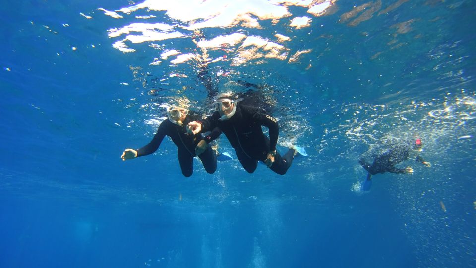 Tenerife: Snorkel with Turtles - Gear You Don’t Have to Rent: Wetsuit, Mask, Snorkel, Fins