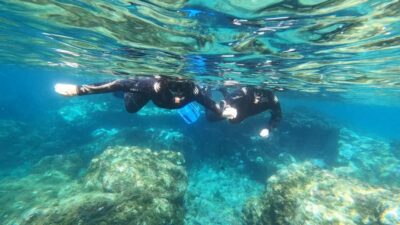 Tenerife: Snorkeling Tour in a Marine Protected Area - Meeting point at Magilu and how the 2 hours play out