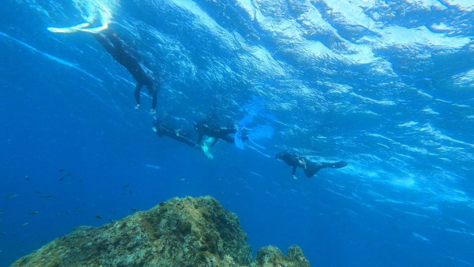 Tenerife: Snorkeling Tour in a Marine Protected Area - Your 50-minute snorkeling route: reefs, coves, and sea grass