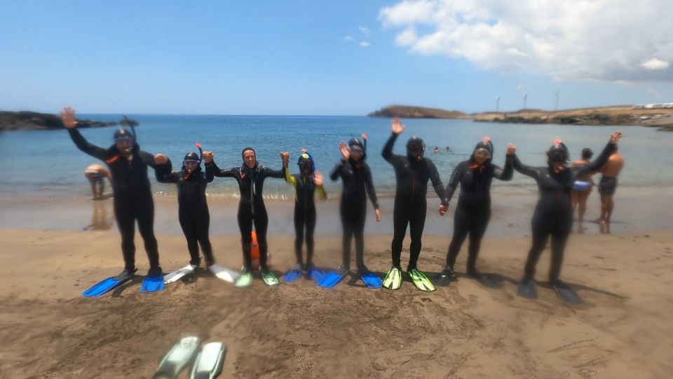 Tenerife: Snorkeling Tour in a Marine Protected Area - Why the turtle rules make the experience feel better