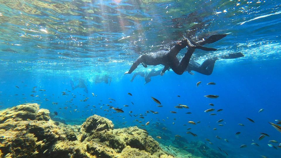 Tenerife: Snorkeling Tour in a Marine Protected Area - Photos and videos are included, not an upsell