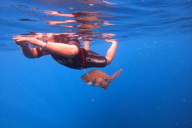 Tenerife Snorkeling Tour in turtle habitat - The last boat hop and preparing for more water time