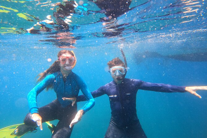 Tenerife Snorkeling Tour in turtle habitat - Gear, comfort, and why sea conditions can make or break it
