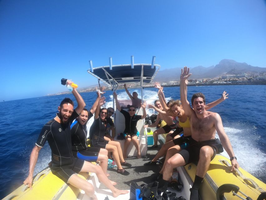 Tenerife: Snorkeling Trip in a Turtle Habitat - Weather and expectations: what happens if you don’t see everything you hoped for