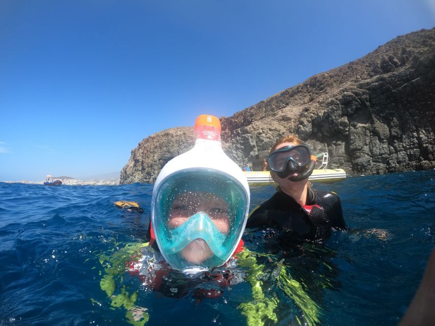 Tenerife: Snorkeling Trip in a Turtle Habitat - A 2-hour Tenerife snorkeling safari that actually feels doable