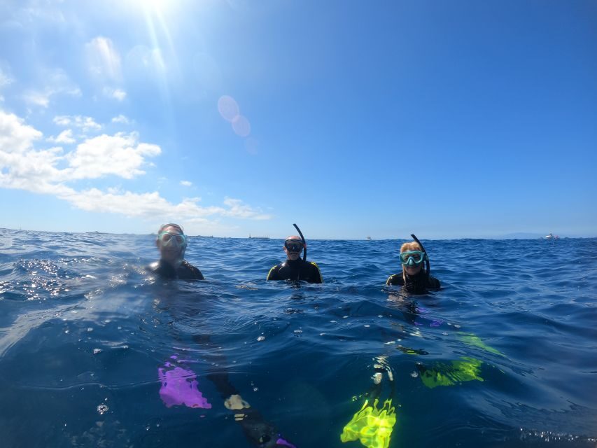 Tenerife: Snorkeling Trip in a Turtle Habitat - Marine-life rules: how not to ruin your own sightings