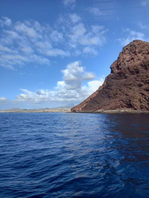 Tenerife south: safari with luxury boat , animals encounters - Should You Book This Tenerife South Safari?