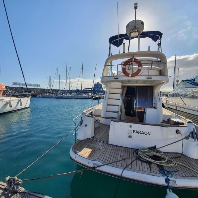 Tenerife south: safari with luxury boat , animals encounters - How the Tenerife South Pickup Works (Las Galletas to the Dock)