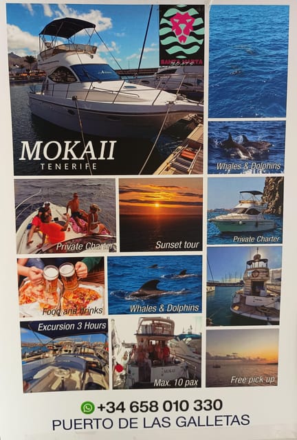 Tenerife south: safari with luxury boat , animals encounters - Luxury Boat Layout: Two Levels, Relax Spots, and a Bathroom