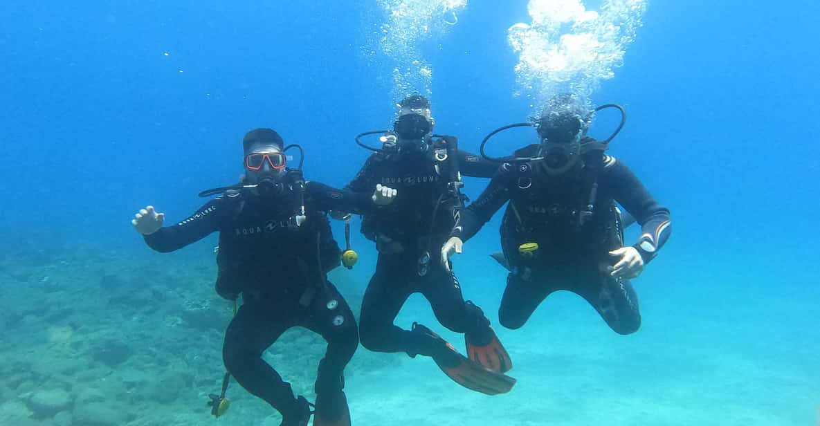 Tenerife south: Scuba Dive for beginners in Adeje - First-Time Scuba in Adeje: What You Really Get