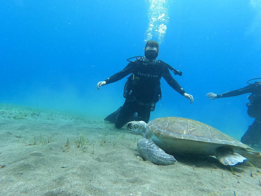 Tenerife south: Scuba Dive for beginners in Adeje - Meeting at Hotel GF Isabel: The 8:45 to 12:30 Flow