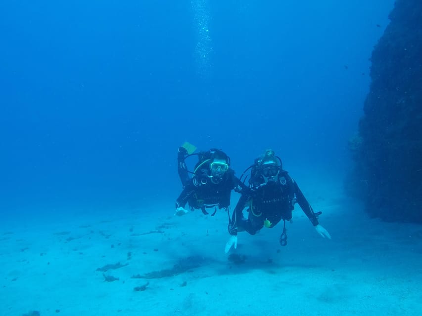 Tenerife south: Scuba Dive for beginners in Adeje - Your About-45-Minutes Underwater Session: Marine Life in Warm Atlantic Water