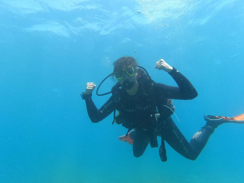 Tenerife south: Scuba Dive for beginners in Adeje - Price and Value Check: Is $100 Fair for a First-Time Course?