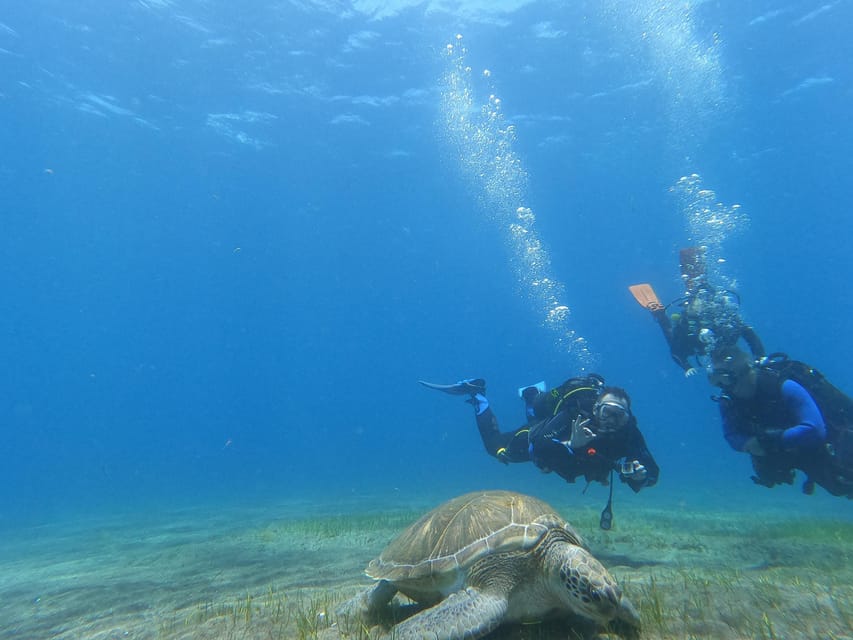Tenerife south: Scuba Dive for beginners in Adeje - Should You Book This Tenerife South Intro Scuba Session?