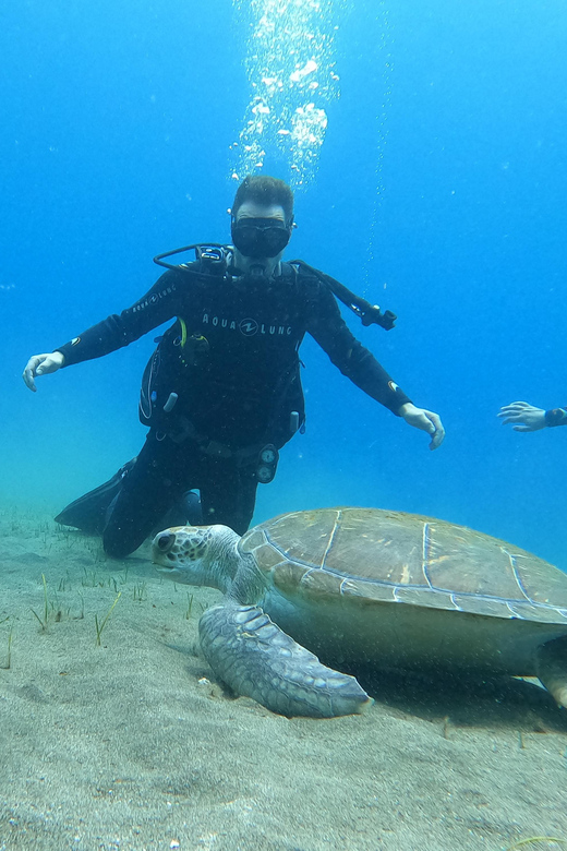 Tenerife south: Scuba Dive for beginners in Adeje - Gear, Safety, and the 2 Students Per Instructor Ratio