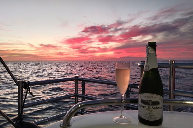 Tenerife Sunset Catamaran tour with transfer - Food and Drinks included. - The Short Swim Stop: Fun, but Pack Like It’s a Water Day
