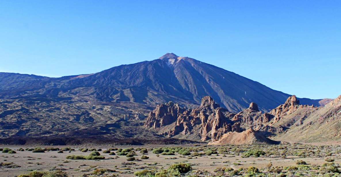 Tenerife: Teide and Las Cañadas Half-Day Tour - Getting picked up in the south without turning your morning into a scavenger hunt
