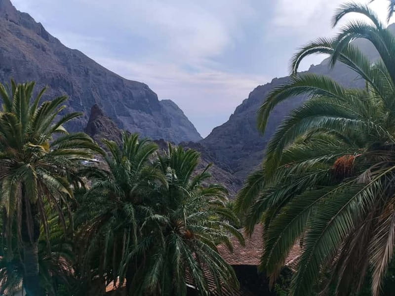 Tenerife: Teide, Masca, Garachico, and Sunset Exclusive Tour - Champagne aperitif and why it fits this day