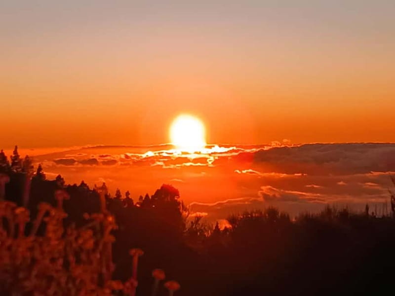 Tenerife: Teide, Masca, Garachico, and Sunset Exclusive Tour - Price and what $108 includes (and what doesn’t)
