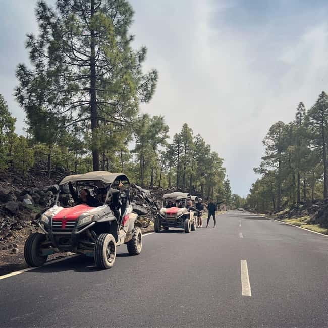 Tenerife: Teide National Park and Volcano Buggy Tour - Why This Teide Buggy Ride Feels Different From a Rental Car