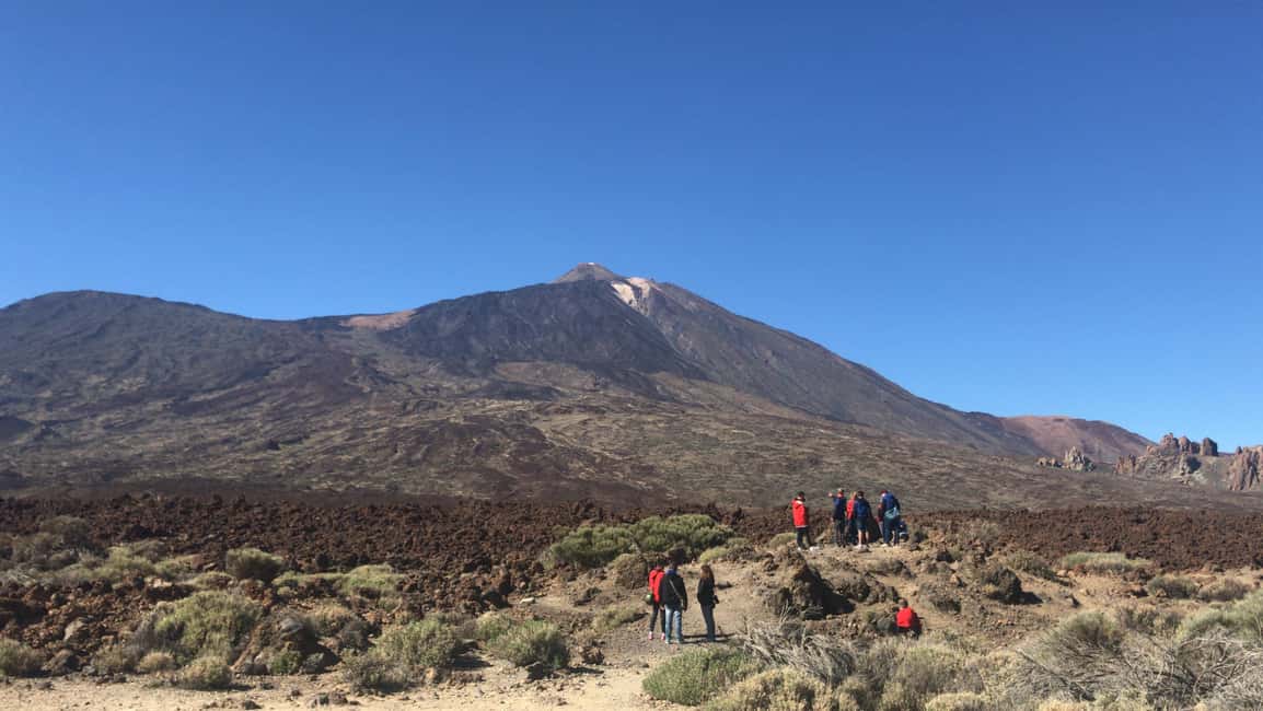 Tenerife: Teide National Park Buggy Tour with Hotel Transfer - The off-road driving: mud, tight bends, and safety style