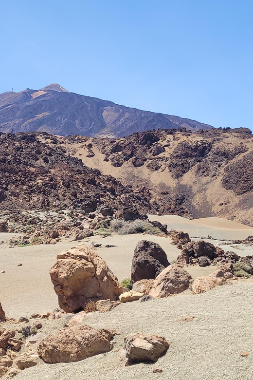 Tenerife: Teide National Park Buggy Tour with Hotel Transfer - Convoy road time plus a comfort break that keeps the day humane