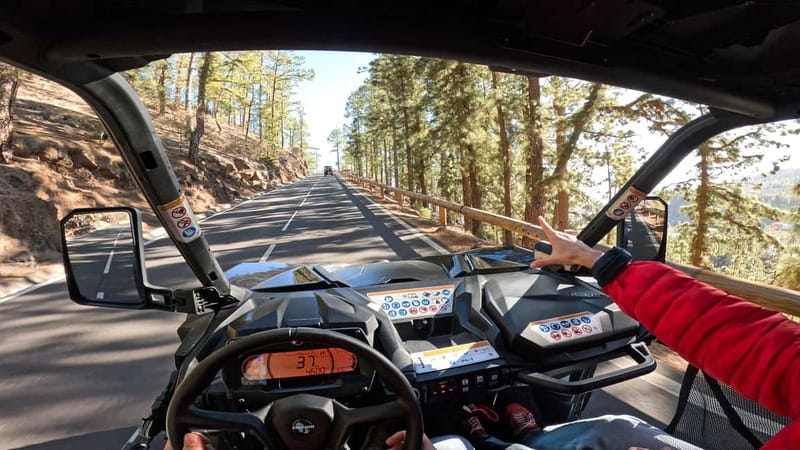 Tenerife: Teide National Park Guided Buggy Tour - Roques de García and Llano de Ucanca Viewpoints on the Ascent