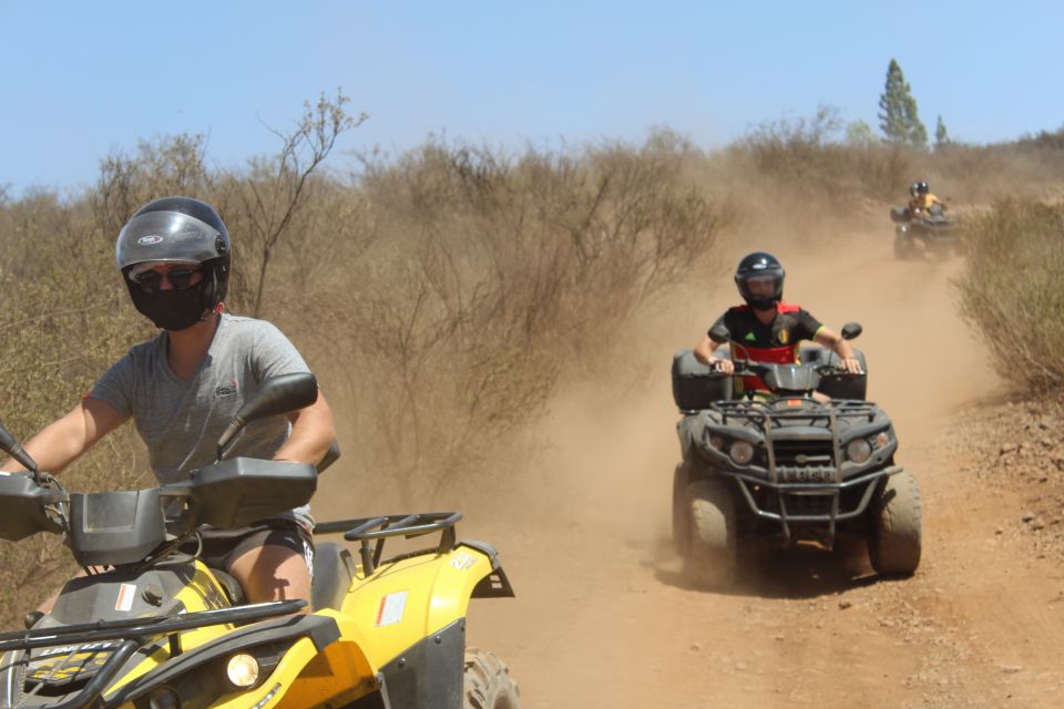Tenerife: Teide National Park Quad Bike Tour - The 70 km Ride and the Real Meaning of 10% Off-Road