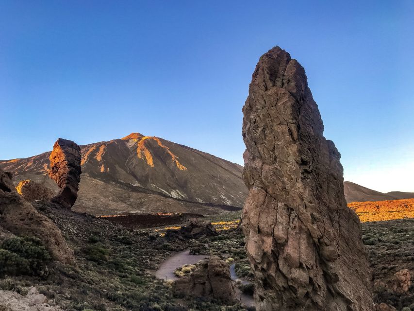Tenerife: Teide National Park & Teno Rural Park Private Tour - A Private Electric Van Day: How the Drive Sets the Tone